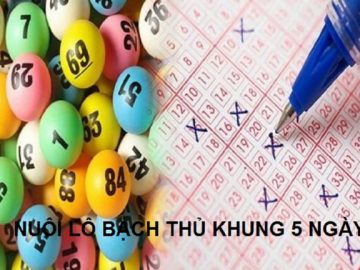 nuôi lô bạch thủ khung 5 ngày